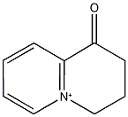 1-oxo-1H,2H,3H,4H-quinolizinium Struktur