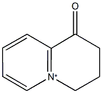 1-oxo-1H,2H,3H,4H-quinolizinium 化学構造式