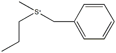 benzyl(methyl)propylsulfonium 化学構造式