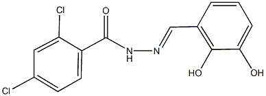 2,4-dichloro-N'-(2,3-dihydroxybenzylidene)benzohydrazide Structure