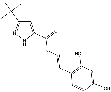 3-tert-butyl-N'-(2,4-dihydroxybenzylidene)-1H-pyrazole-5-carbohydrazide 结构式