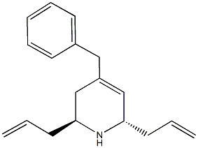  化学構造式