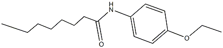 N-(4-ethoxyphenyl)octanamide Structure