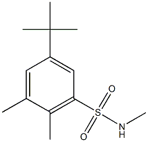5-tert-butyl-N,2,3-trimethylbenzenesulfonamide Structure