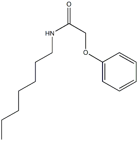 N-heptyl-2-phenoxyacetamide Struktur