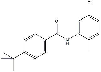 4-tert-butyl-N-(5-chloro-2-methylphenyl)benzamide Structure