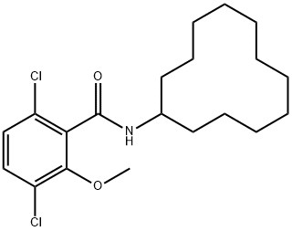 3,6-dichloro-N-cyclododecyl-2-methoxybenzamide 化学構造式