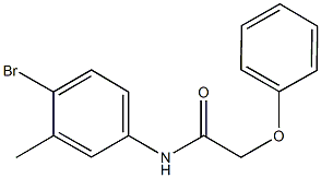 N-(4-bromo-3-methylphenyl)-2-phenoxyacetamide,303092-42-4,结构式