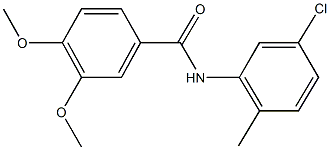 N-(5-chloro-2-methylphenyl)-3,4-dimethoxybenzamide,304890-13-9,结构式