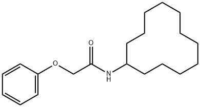 N-cyclododecyl-2-phenoxyacetamide Structure