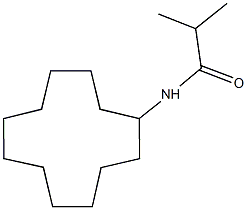 N-cyclododecyl-2-methylpropanamide Structure