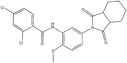 2,4-dichloro-N-[5-(1,3-dioxooctahydro-2H-isoindol-2-yl)-2-methoxyphenyl]benzamide Struktur