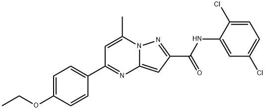 N-(2,5-dichlorophenyl)-5-(4-ethoxyphenyl)-7-methylpyrazolo[1,5-a]pyrimidine-2-carboxamide Struktur