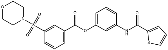 3-[(2-thienylcarbonyl)amino]phenyl 3-(4-morpholinylsulfonyl)benzoate Structure