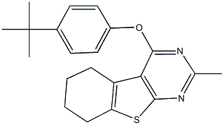 315684-91-4 4-(4-tert-butylphenoxy)-2-methyl-5,6,7,8-tetrahydro[1]benzothieno[2,3-d]pyrimidine