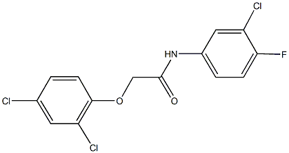 N-(3-chloro-4-fluorophenyl)-2-(2,4-dichlorophenoxy)acetamide Structure
