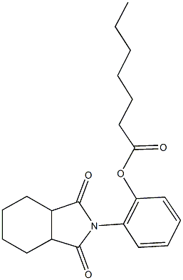 2-(1,3-dioxooctahydro-2H-isoindol-2-yl)phenyl heptanoate|