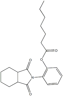 329933-58-6 2-(1,3-dioxooctahydro-2H-isoindol-2-yl)phenyl heptanoate