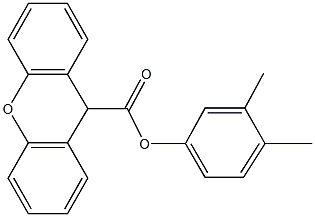 3,4-dimethylphenyl 9H-xanthene-9-carboxylate,331974-11-9,结构式