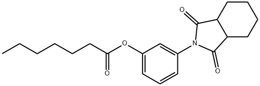 3-(1,3-dioxooctahydro-2H-isoindol-2-yl)phenyl heptanoate|