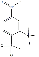 342044-08-0 2-tert-butyl-1-(methylsulfonyl)-4-nitrobenzene