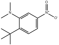 2-tert-butyl-N,N-dimethyl-5-nitroaniline Structure