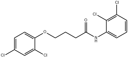 4-(2,4-dichlorophenoxy)-N-(2,3-dichlorophenyl)butanamide|