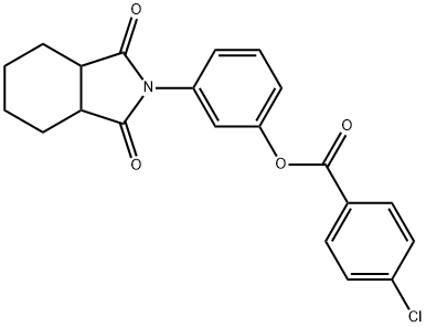 3-(1,3-dioxooctahydro-2H-isoindol-2-yl)phenyl 4-chlorobenzoate Structure