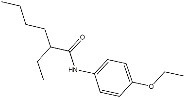 N-(4-ethoxyphenyl)-2-ethylhexanamide Struktur