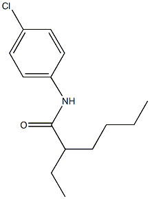 N-(4-chlorophenyl)-2-ethylhexanamide 结构式