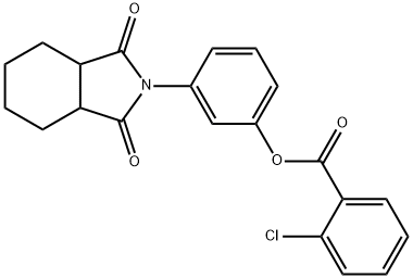 3-(1,3-dioxooctahydro-2H-isoindol-2-yl)phenyl 2-chlorobenzoate Structure