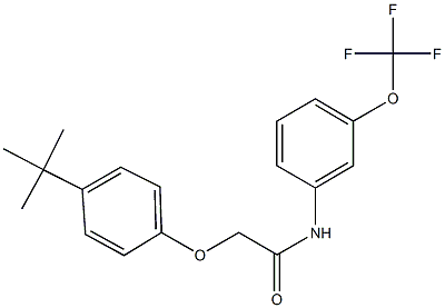 2-(4-tert-butylphenoxy)-N-[3-(trifluoromethoxy)phenyl]acetamide 结构式