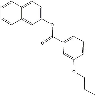 2-naphthyl 3-propoxybenzoate Structure