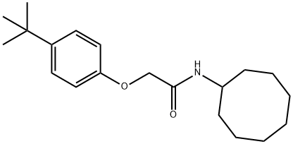 2-(4-tert-butylphenoxy)-N-cyclooctylacetamide 化学構造式