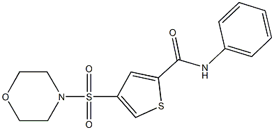 4-(4-morpholinylsulfonyl)-N-phenyl-2-thiophenecarboxamide 结构式