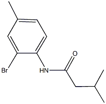 N-(2-bromo-4-methylphenyl)-3-methylbutanamide Structure