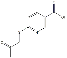 6-[(2-oxopropyl)sulfanyl]nicotinic acid 化学構造式