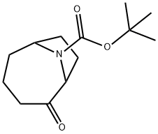 tert-butyl 2-oxo-9-azabicyclo[4.2.1]nonane-9-carboxylate 化学構造式