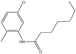 N-(5-chloro-2-methylphenyl)heptanamide Structure