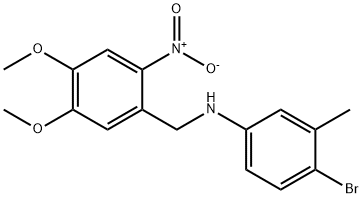 4-bromo-N-(4,5-dimethoxy-2-nitrobenzyl)-3-methylaniline Structure