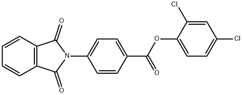 2,4-dichlorophenyl 4-(1,3-dioxo-1,3-dihydro-2H-isoindol-2-yl)benzoate 化学構造式