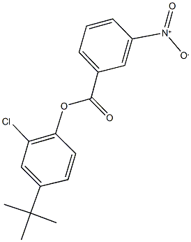 4-tert-butyl-2-chlorophenyl 3-nitrobenzoate Struktur