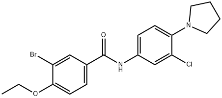 3-bromo-N-[3-chloro-4-(1-pyrrolidinyl)phenyl]-4-ethoxybenzamide Structure