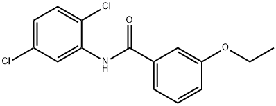 N-(2,5-dichlorophenyl)-3-ethoxybenzamide Struktur