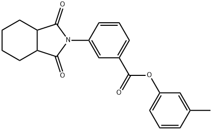 3-methylphenyl 3-(1,3-dioxooctahydro-2H-isoindol-2-yl)benzoate,433254-67-2,结构式