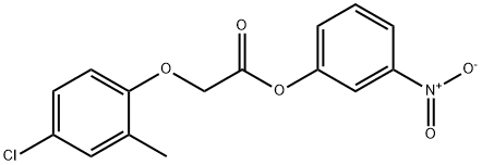 3-nitrophenyl (4-chloro-2-methylphenoxy)acetate Struktur