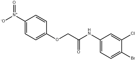 N-(4-bromo-3-chlorophenyl)-2-{4-nitrophenoxy}acetamide|