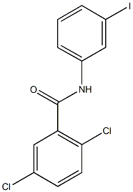 2,5-dichloro-N-(3-iodophenyl)benzamide 化学構造式
