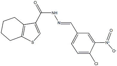 444926-06-1 N'-{4-chloro-3-nitrobenzylidene}-4,5,6,7-tetrahydro-1-benzothiophene-3-carbohydrazide