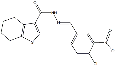 N'-{4-chloro-3-nitrobenzylidene}-4,5,6,7-tetrahydro-1-benzothiophene-3-carbohydrazide|